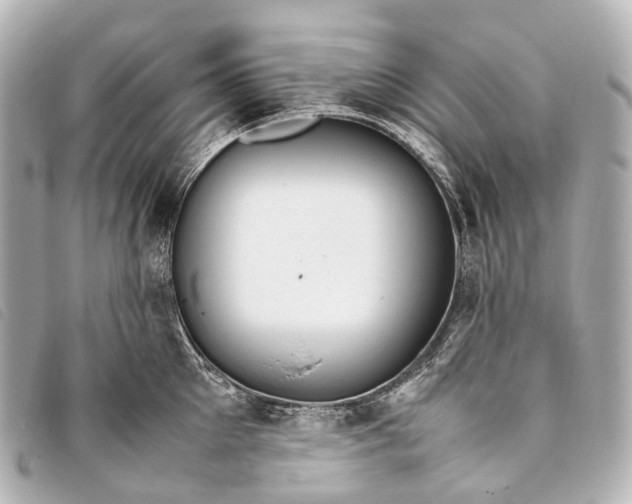 X0000093370905200710251151