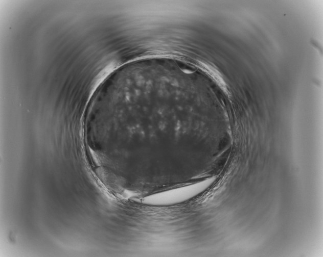 X0000093370907200710251151