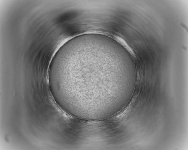 X0000093370908200710251151