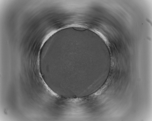 X0000093370910200710251150