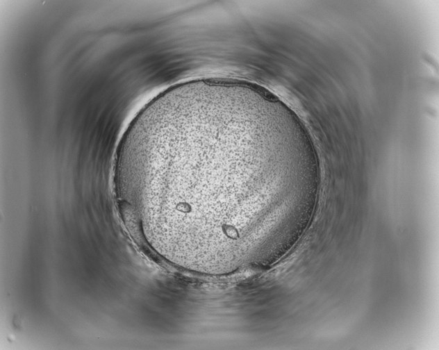 X0000093370912200710251150