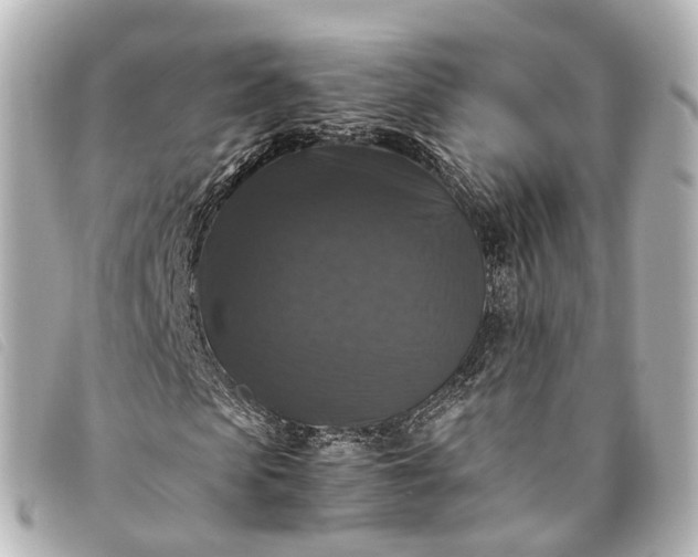 X0000093370913200710251150