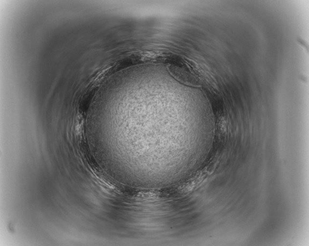 X0000093370914200710251150