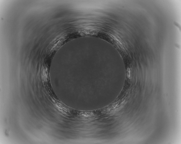 X0000093370915200710251150