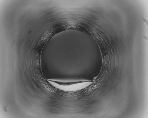 X0000093370916200710251150