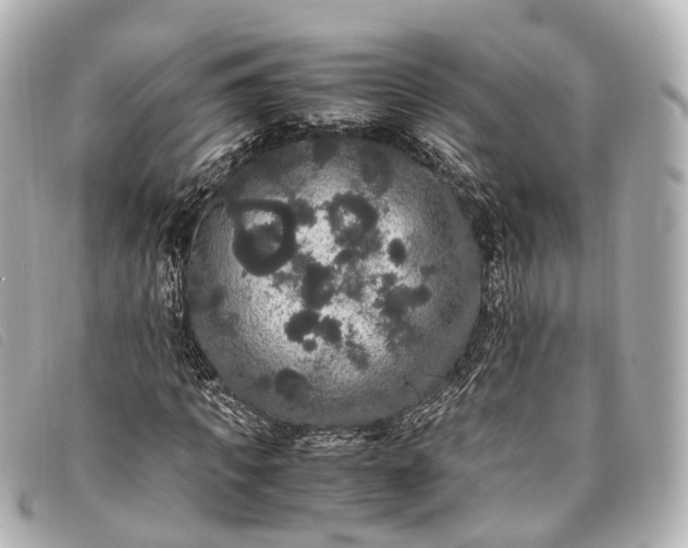 X0000093370917200710251150