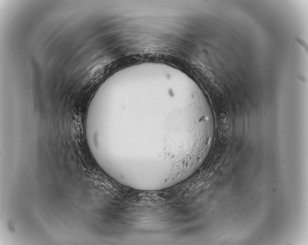 X0000093370918200710251150