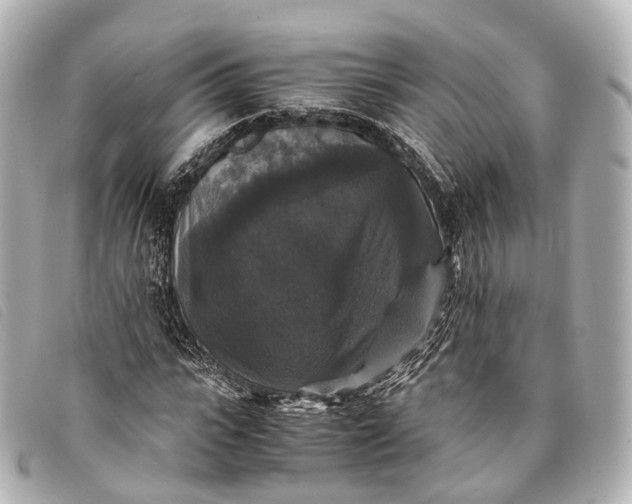 X0000093370919200710251150