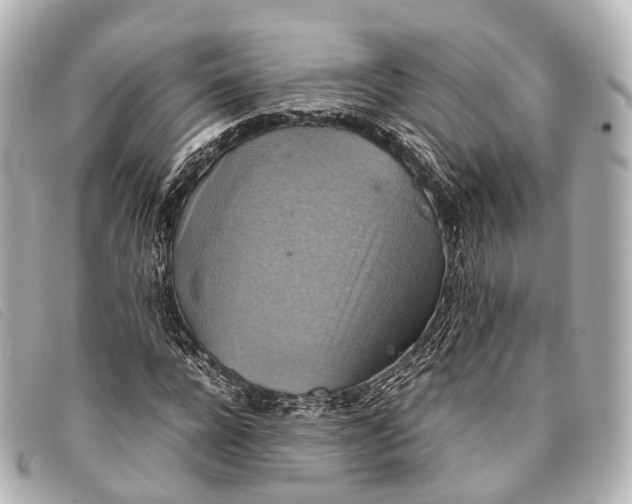 X0000093370920200710251150