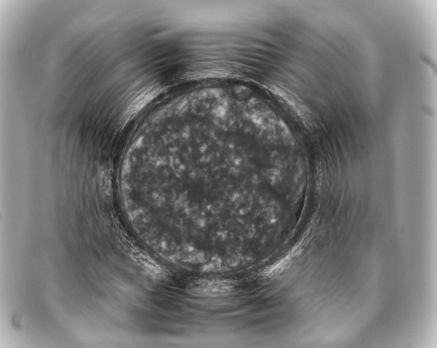 X0000093370921200710251150