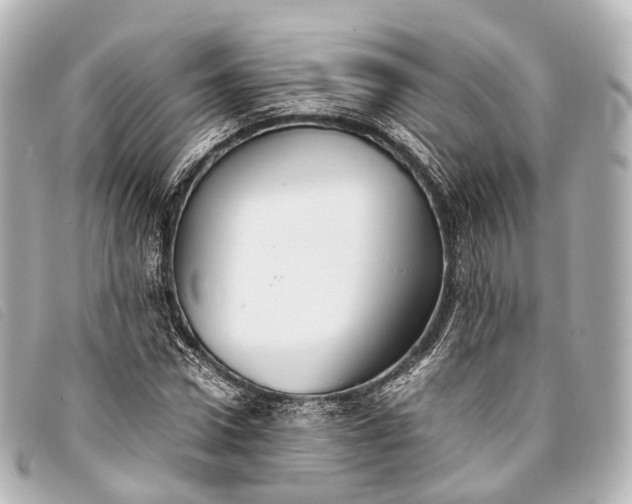 X0000093370922200710251150