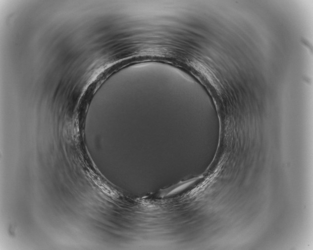 X0000093370923200710251150