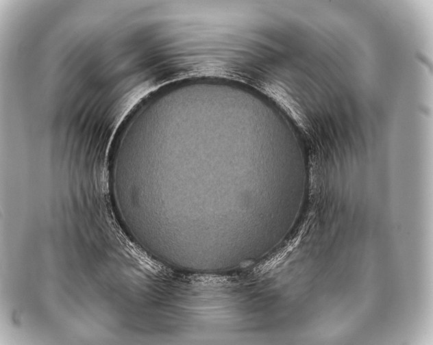 X0000093370924200710251150