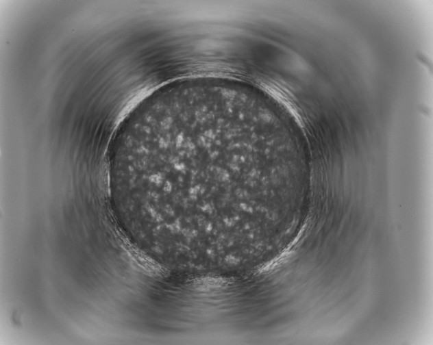 X0000093370925200710251150