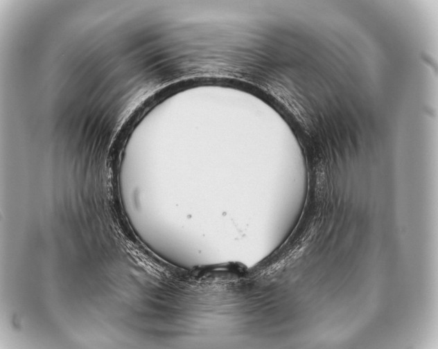 X0000093370926200710251150