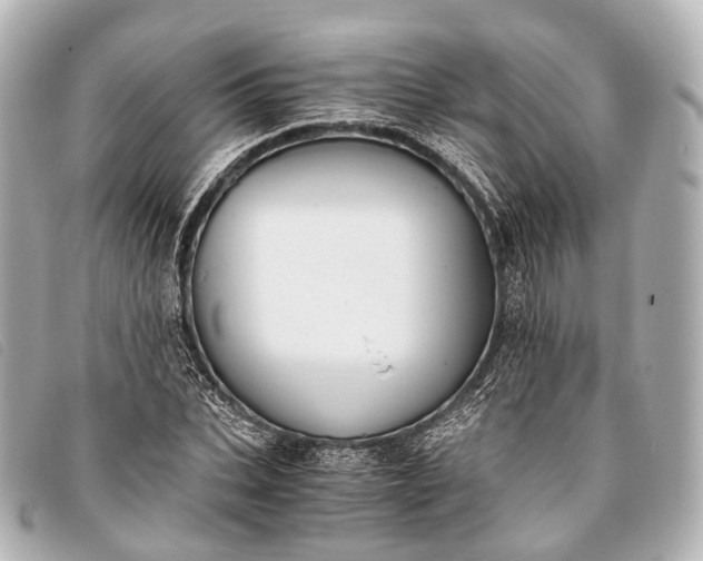 X0000093370927200710251150