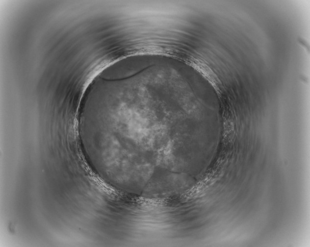 X0000093370928200710251150