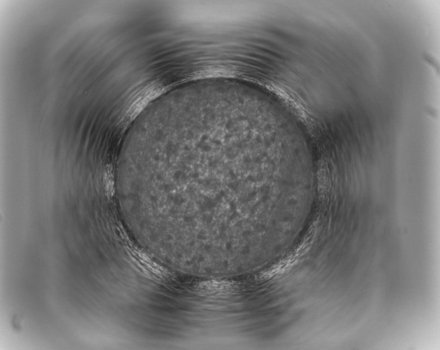 X0000093370929200710251150