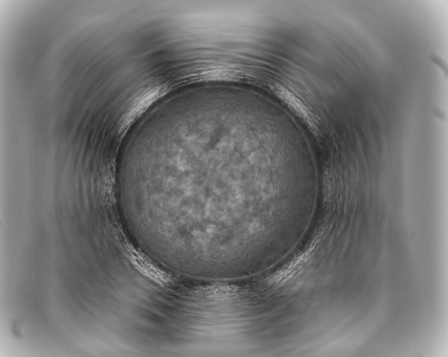 X0000093370930200710251150