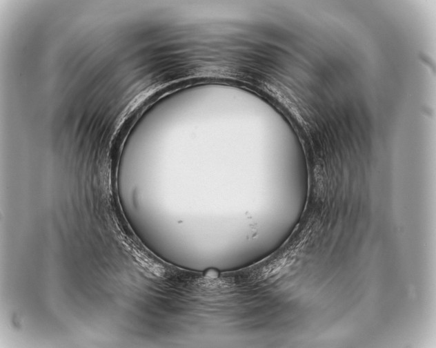 X0000093370931200710251150