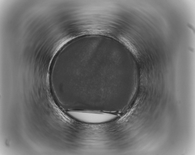 X0000093370932200710251150