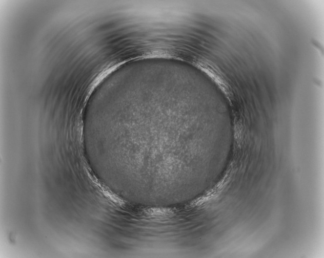 X0000093370933200710251150