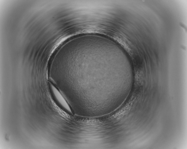 X0000093370934200710251150