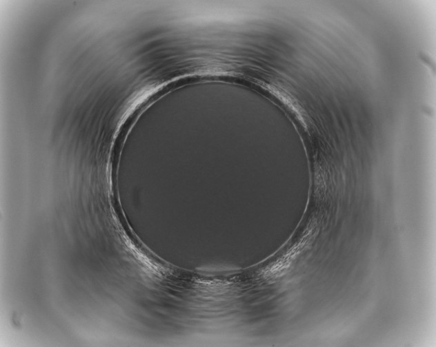 X0000093370935200710251150