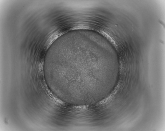 X0000093370937200710251150