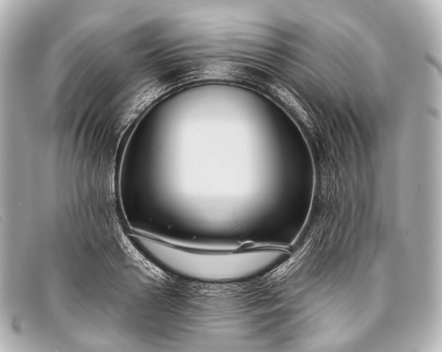 X0000093370938200710251150