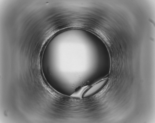 X0000093370939200710251150