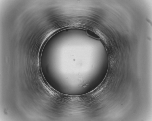 X0000093370940200710251150