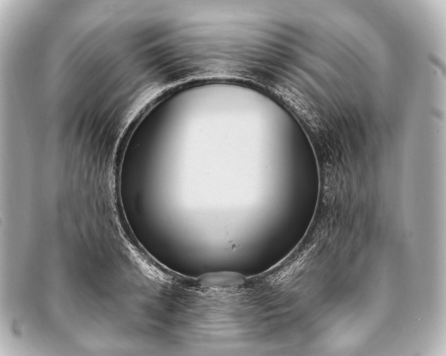 X0000093370942200710251150