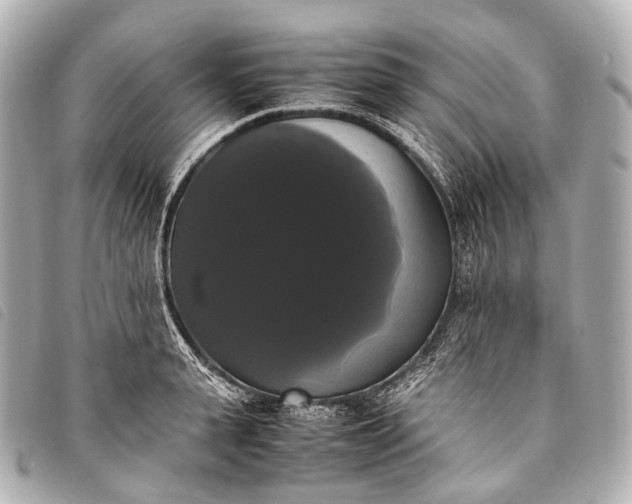 X0000093370943200710251150