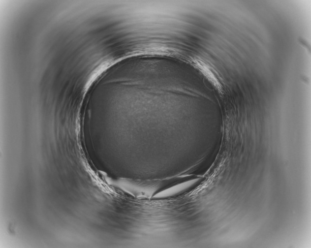 X0000093370944200710251150