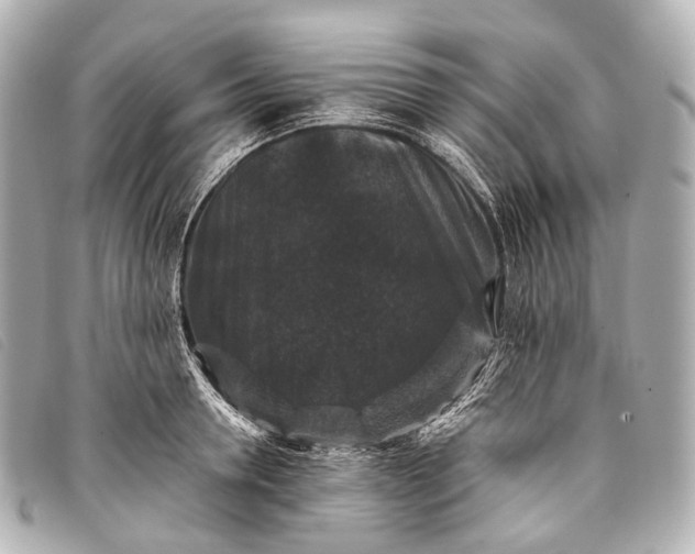 X0000093370946200710251150