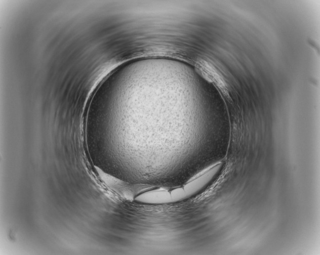 X0000093370948200710251150