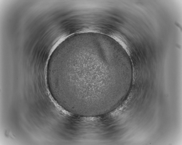 X0000093370949200710251150