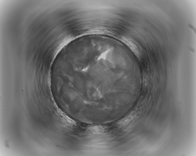 X0000093370950200710251150