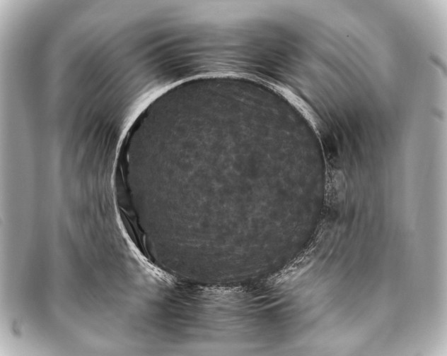 X0000093370951200710251150