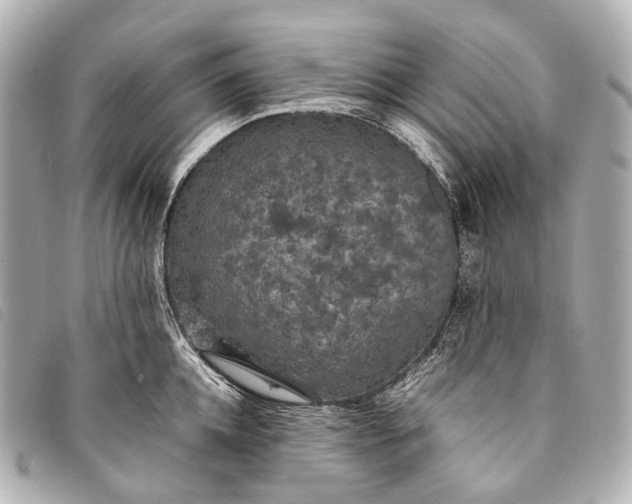 X0000093370952200710251150