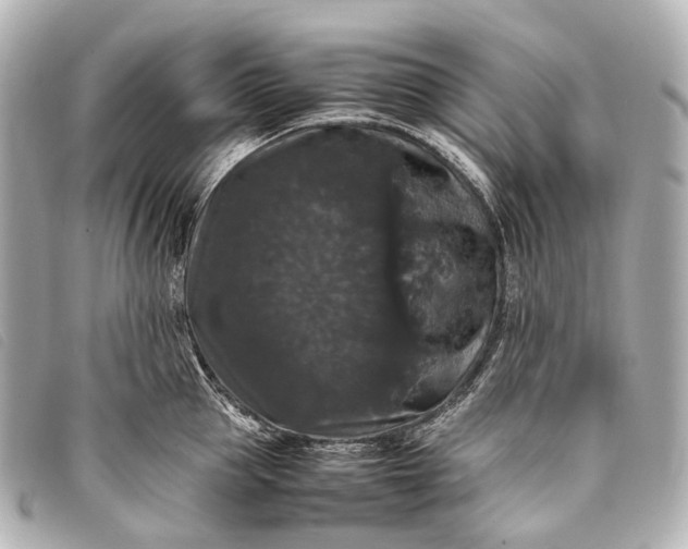 X0000093370953200710251150