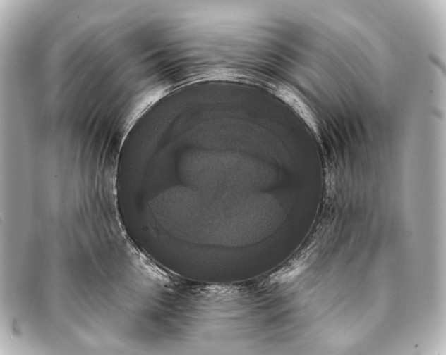 X0000093370954200710251150