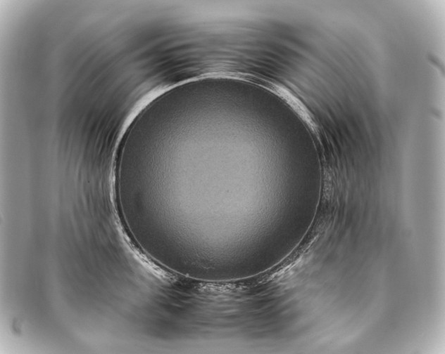 X0000093370955200710251150