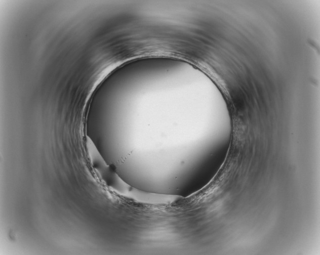 X0000093370956200710251150