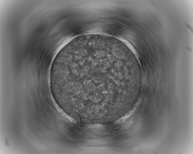 X0000093370957200710251150