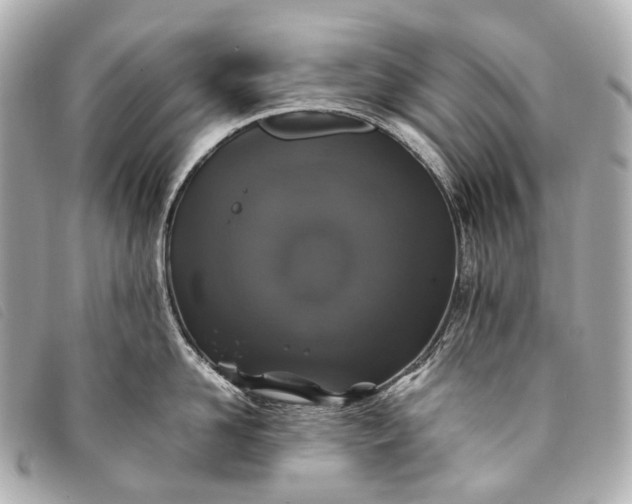 X0000093370958200710251150