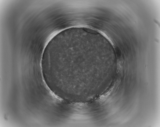 X0000093370959200710251150