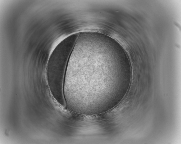 X0000093370960200710251150