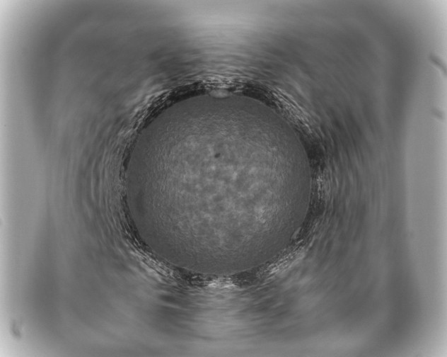 X0000093370961200710251150